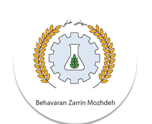 default-logo