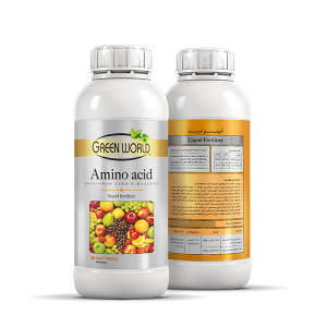 amino acid