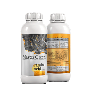Amino Acid Master